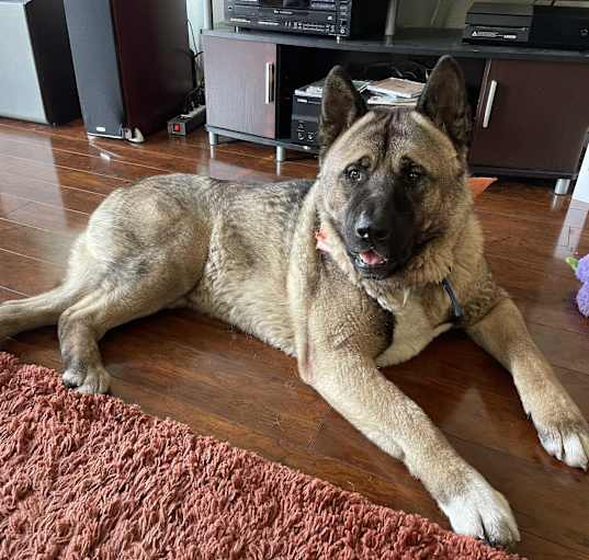 Photo of Hiro