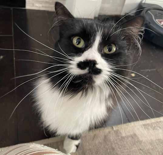 Photo of Charlie