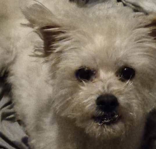Photo of Mickey