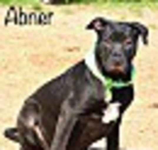 Photo of Abner