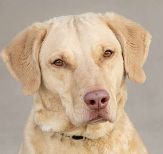 Photo of Cash