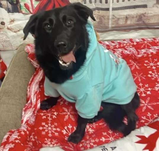 Photo of Jet