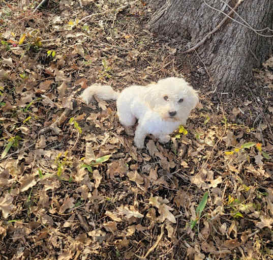 Photo of Holly