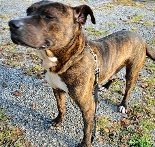 Photo of Jax
