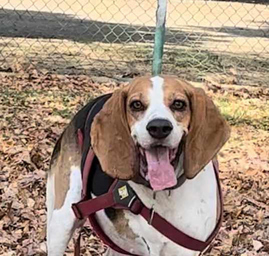 Photo of Bagel