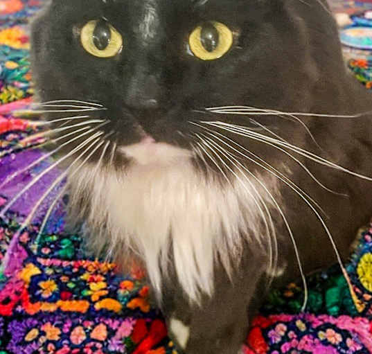 Photo of Mimi