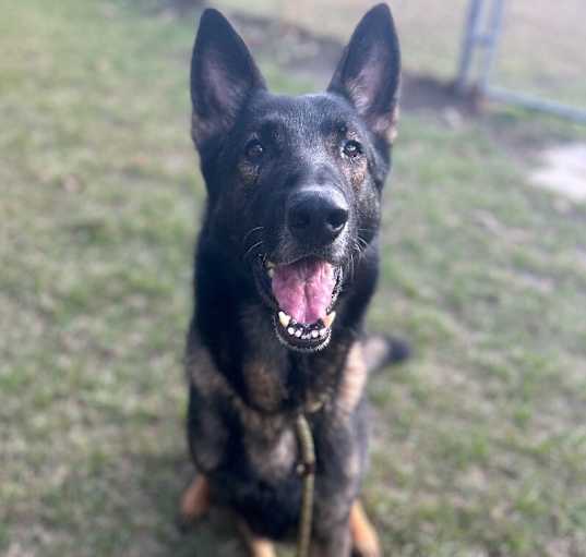 Photo of Quest