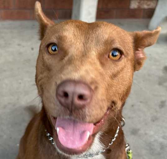 Photo of Coco