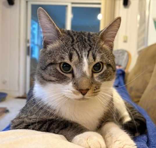 Photo of Desi