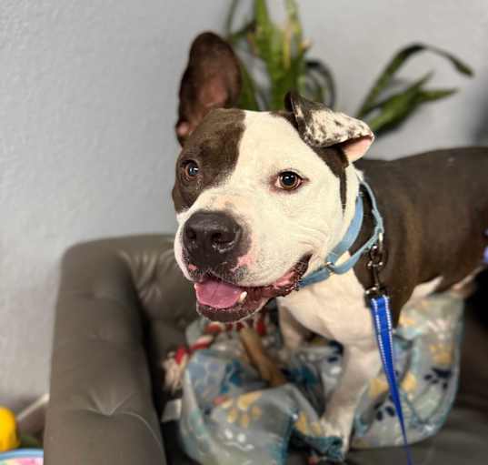 Photo of Bubba Charlie