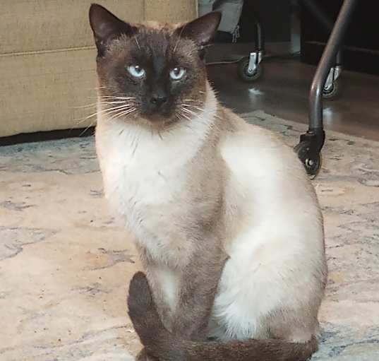 Photo of Jack