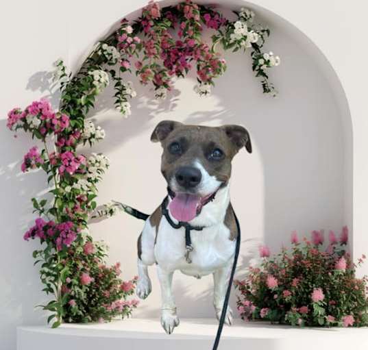 Photo of Fiona