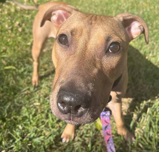 Photo of Hazel