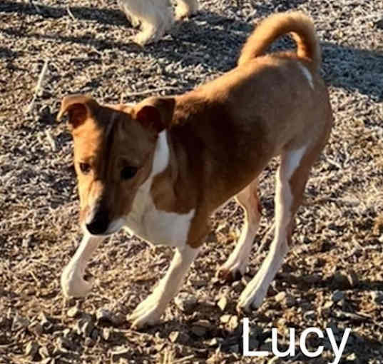 Photo of Lucie*