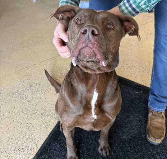 Photo of Hershey