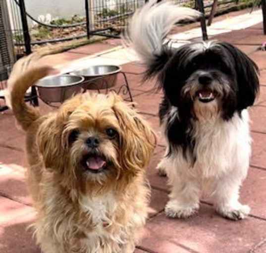 Photo of Mikey James & Leo Thomas