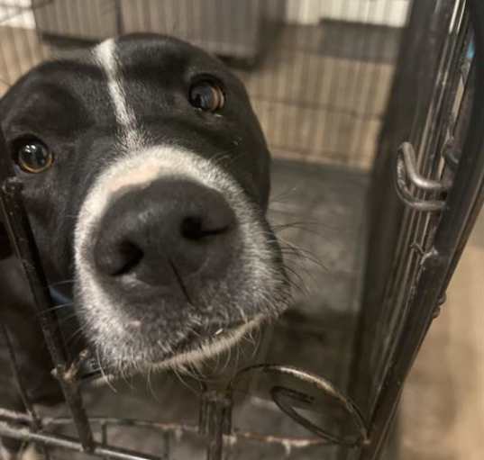 Photo of NOVA