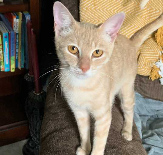 Photo of Belle