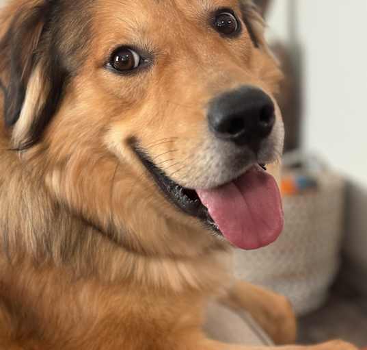 Photo of Reggie