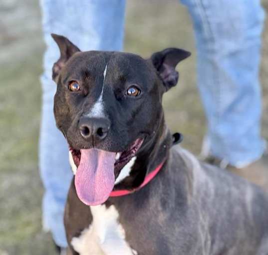 Photo of *WILMA