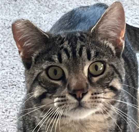 Photo of Zippy