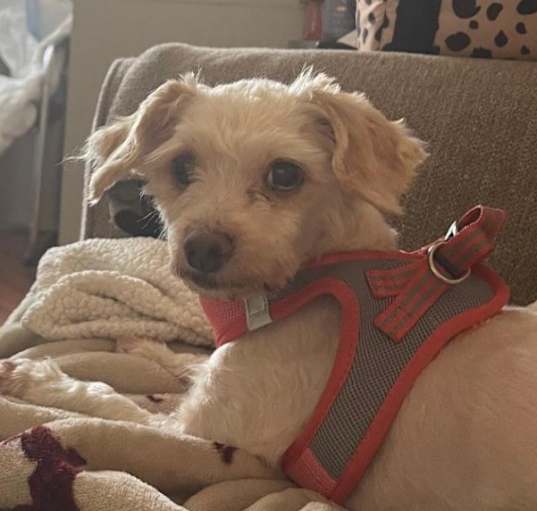 Photo of Lexi