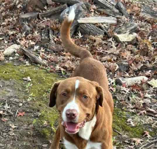 Photo of Clyde