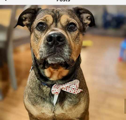 Photo of Jojo