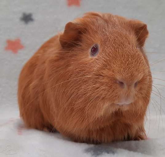 Photo of Jam