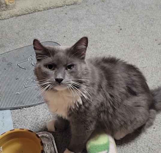Photo of Walter