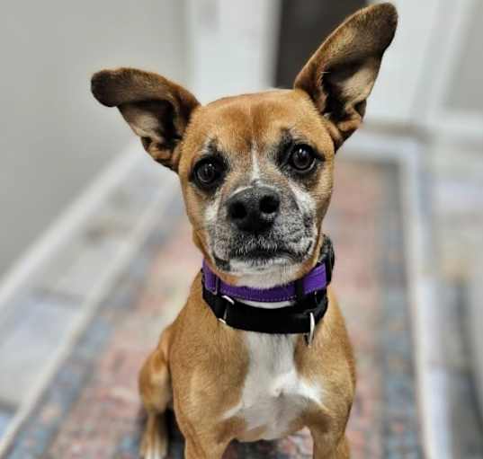 Photo of Burt