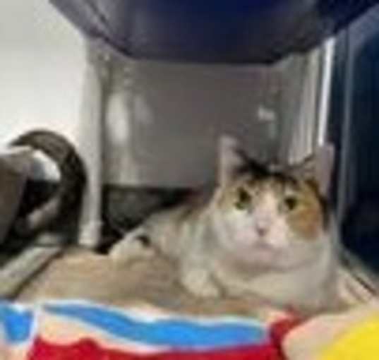 Photo of Samantha