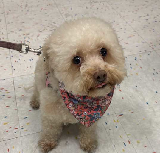 Photo of Mimi