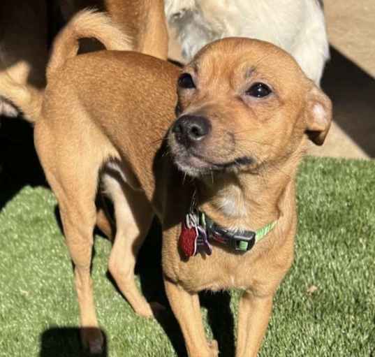 Photo of Hunter