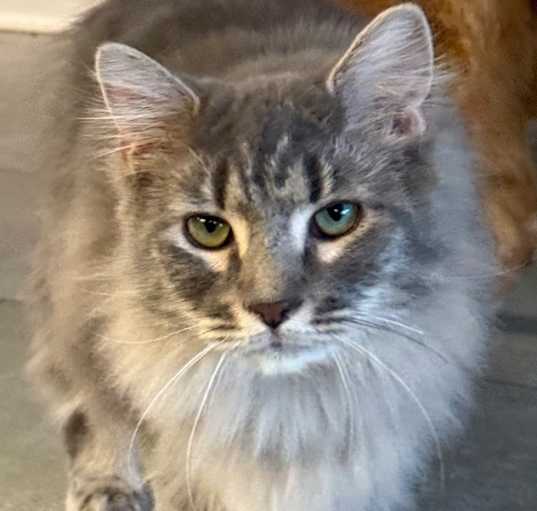 Photo of Ruby