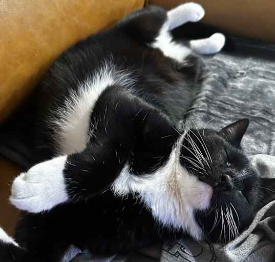 Photo of Boots