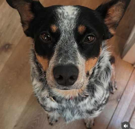 Photo of Sylvie