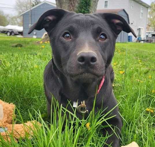 Photo of Ada