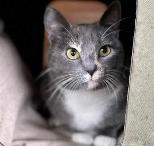 Photo of Vanna Grey