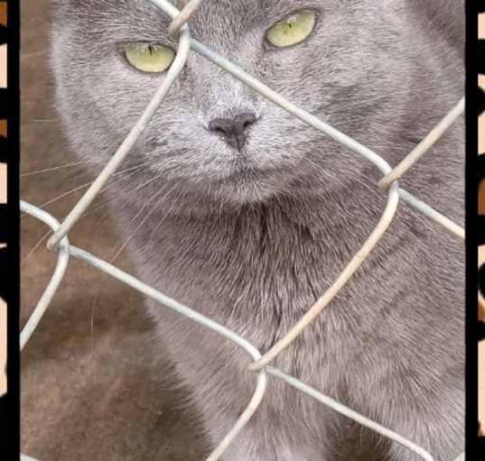 Photo of MONA