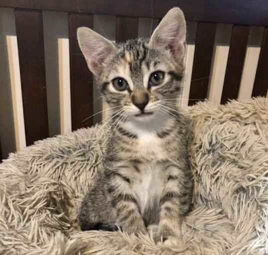 Photo of Molly