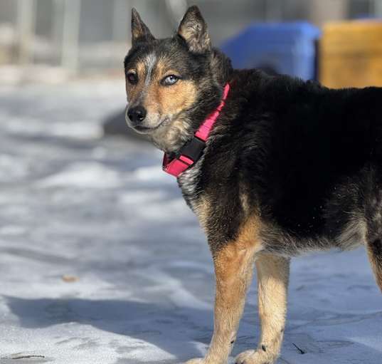 Photo of Gemma - 25001