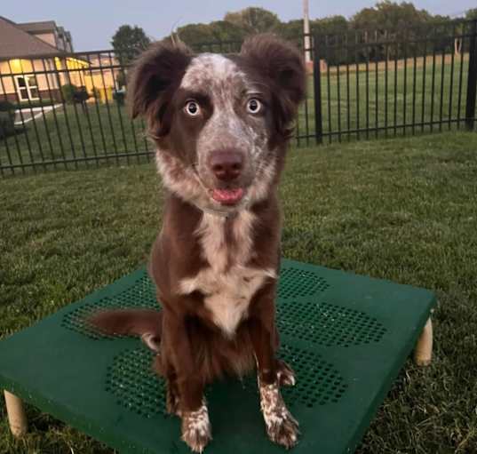 Photo of Gracie Mae