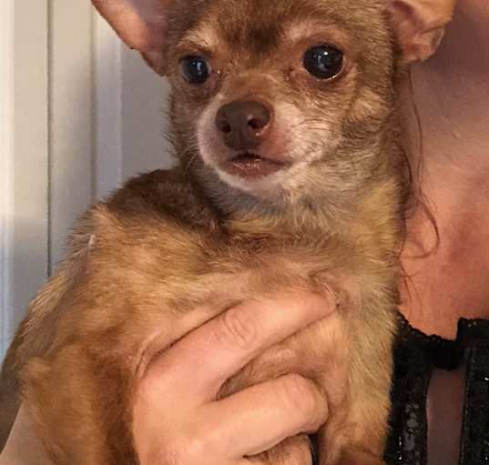 Photo of Tina