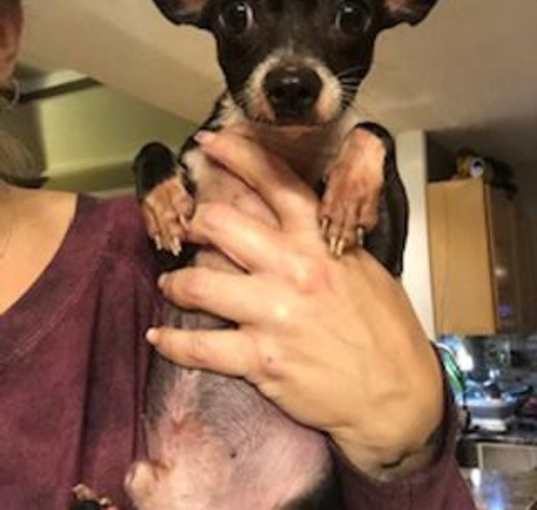 Photo of Bippy