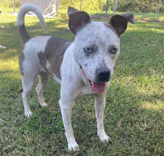 Photo of Trudy