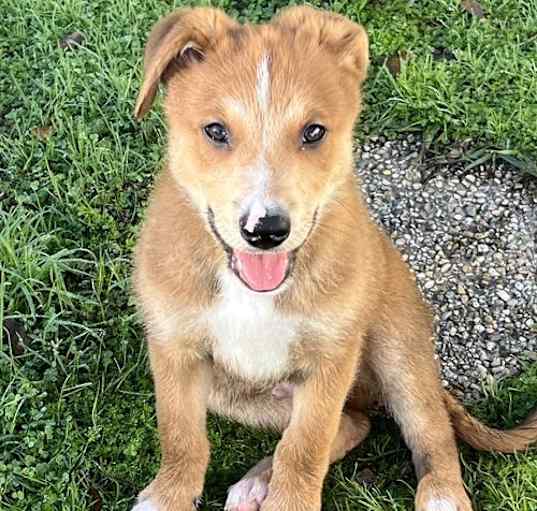 Photo of Maverick