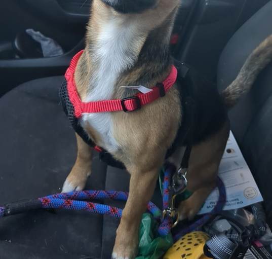 Photo of Tug