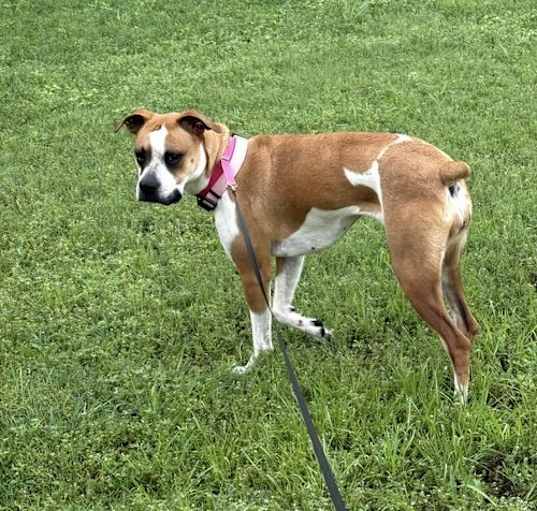 Photo of Prada