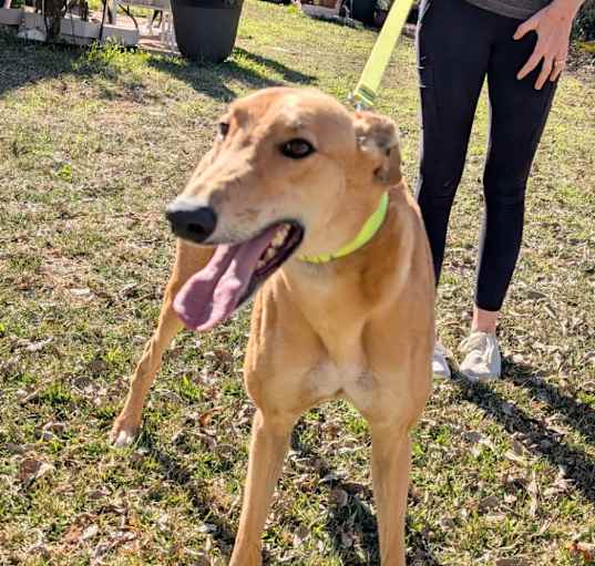 Photo of Duke